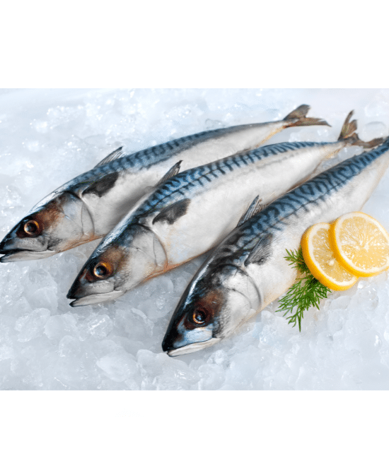Mackerel Whole – Pack of 3