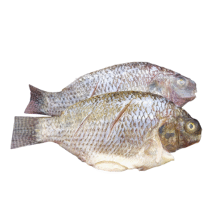Whole Tilapia descaled & gutted 800 – 2.5kg