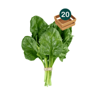 Fresh Spinach Box (x20*)