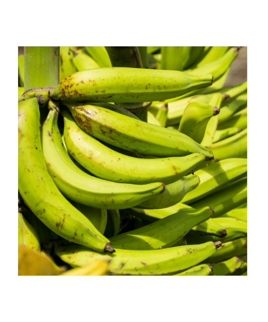Unripe Green Plantain Box