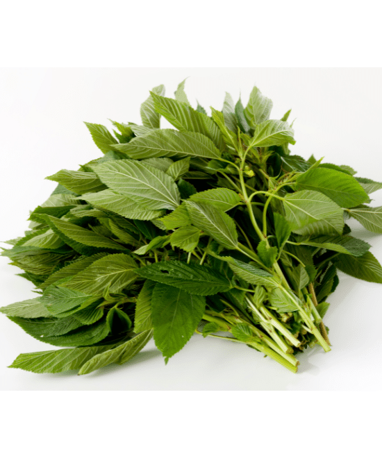 Fresh Ewedu – Bunch