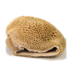 Frozen Cow/Beef Honeycomb Tripe / Shaki 1kg