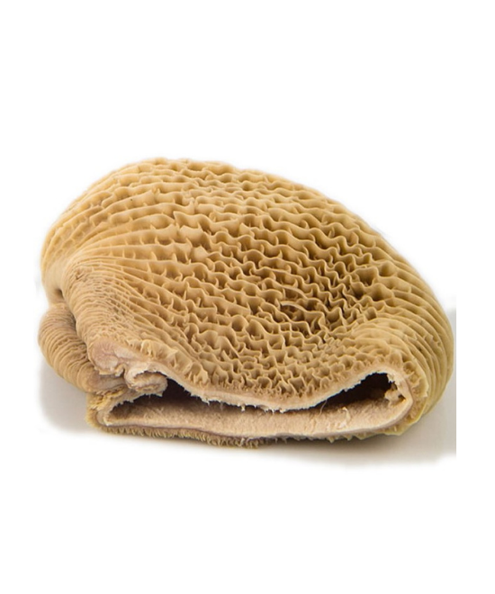 Frozen Cow/Beef Honeycomb Tripe / Shaki 1kg